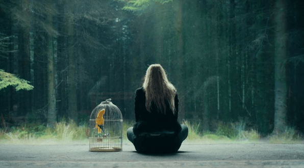 Dakota Fanning como Mina em os observadores