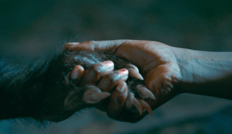Cena de as boas maneiras, outra obra para o dia de finados